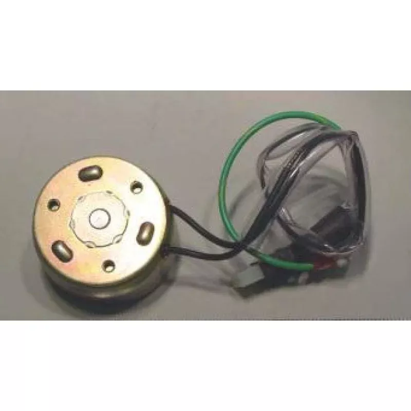 33397: Rotary Solenoid, 220V