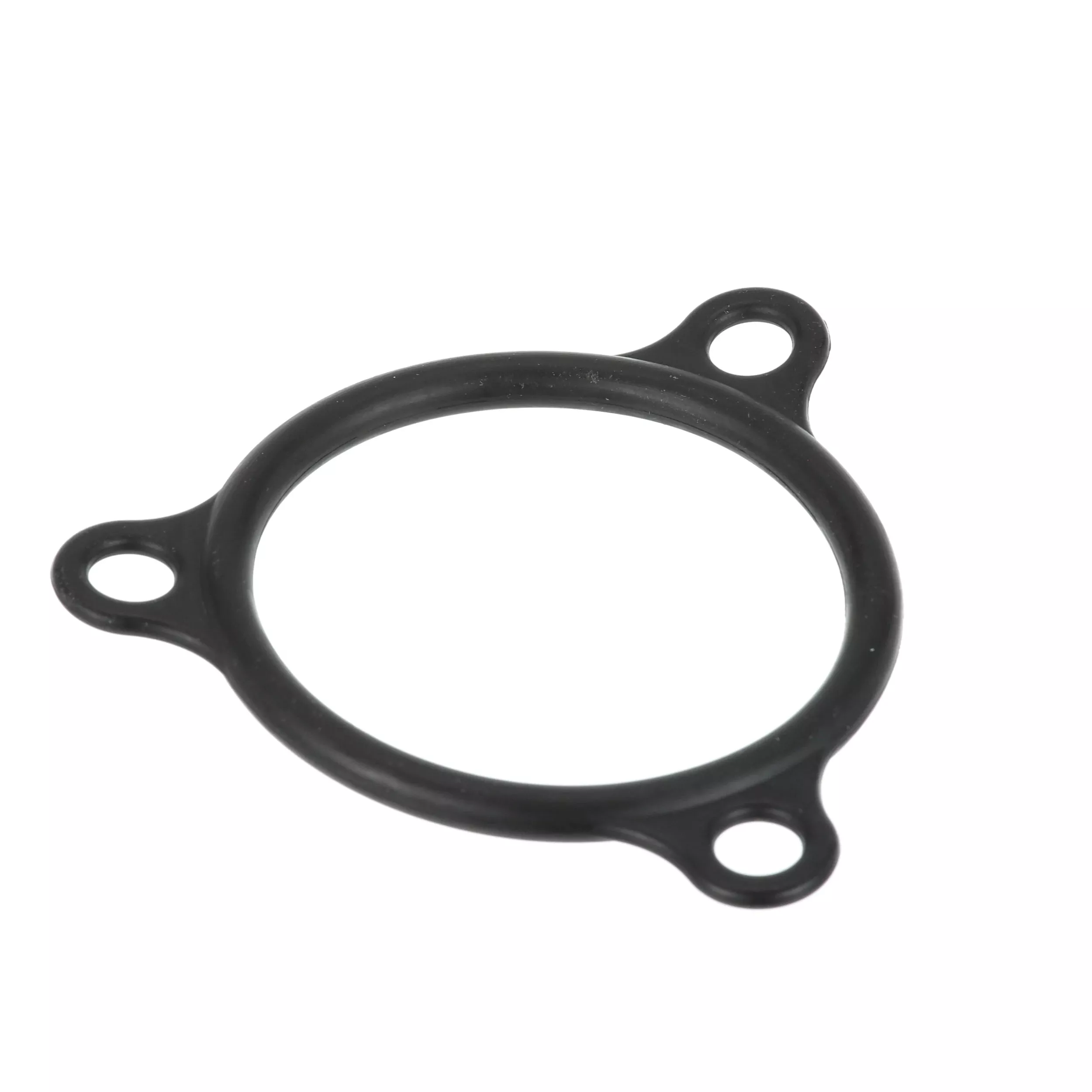Champion Element Gasket - 109985