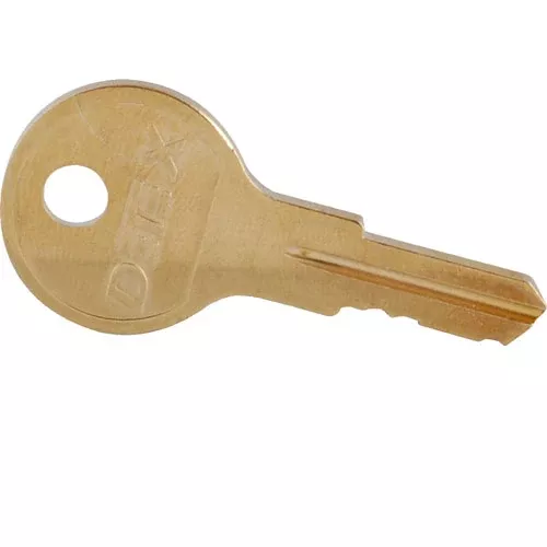 Detex Emergency Exit Alarm Cover Cylinder Lock Keys Brass - ECL-405-12