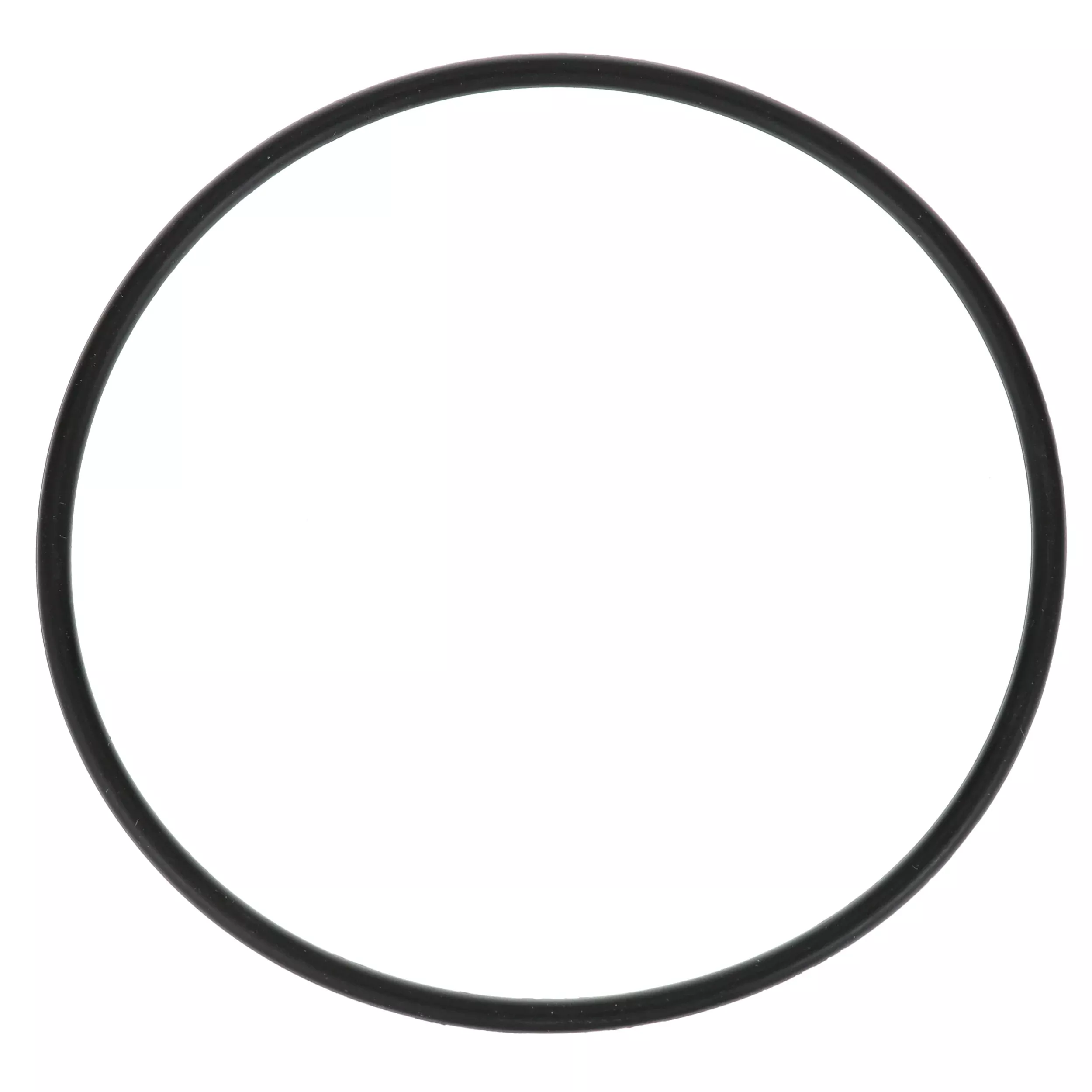 Everpure Filter O-Ring - EV307119