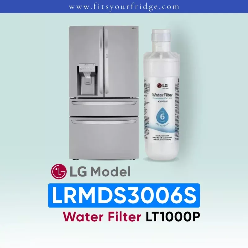 LG LRMDS3006S Water Filter