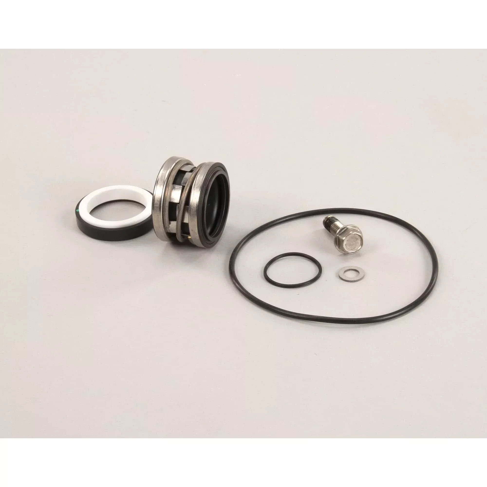 Power Soak Pump Seal Kit (MX SERIES, PS SERIES) - 28920