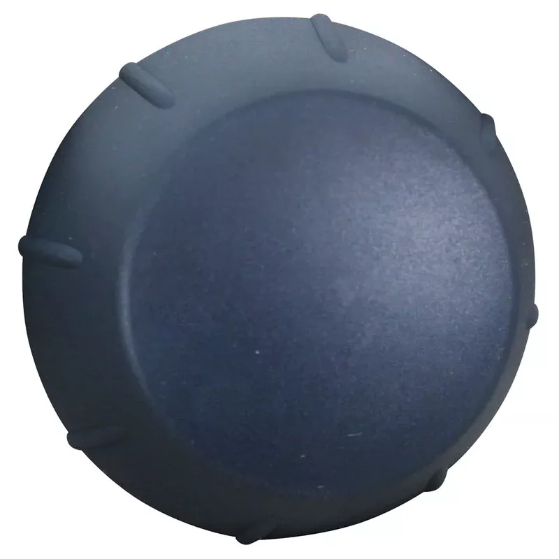 Rational Dial Blue (SCC-202G, SCC101E) - 16.00.232P