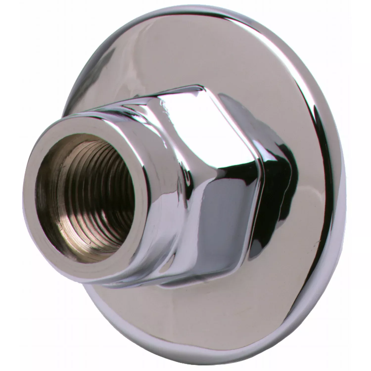 T&S Brass BL-4250-03 Lab Panel Flange - 3/8" NPT