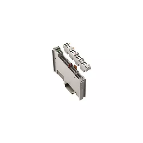 Wago 753-456 - 2-Channel Analog Input