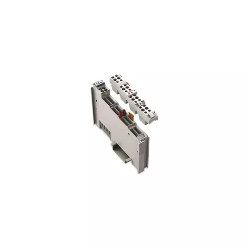 Wago 753-550 - 2-Channel Analog Output