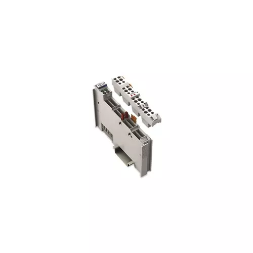 Wago 753-554 - 2-Channel Analog Output