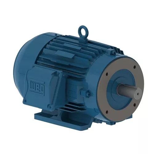 Weg 00318ET3E182TC-W22 - Motor