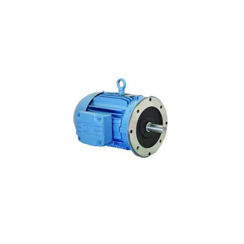 Weg 00318NT3FVD182TC-W22 - Motor