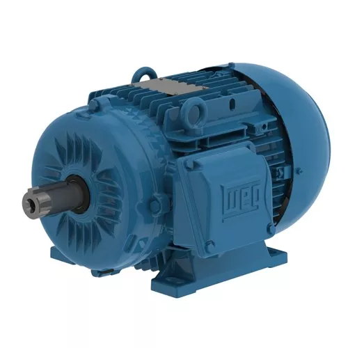 Weg 00536ET3YAL132S-W22 - Motor