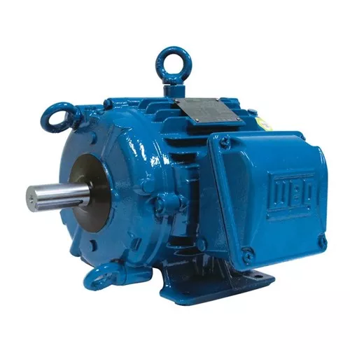 Weg 02018AT3ECT256T-W22 - Motor