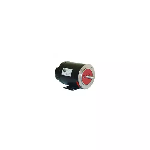 Weg .5036XS3E56 - Motor